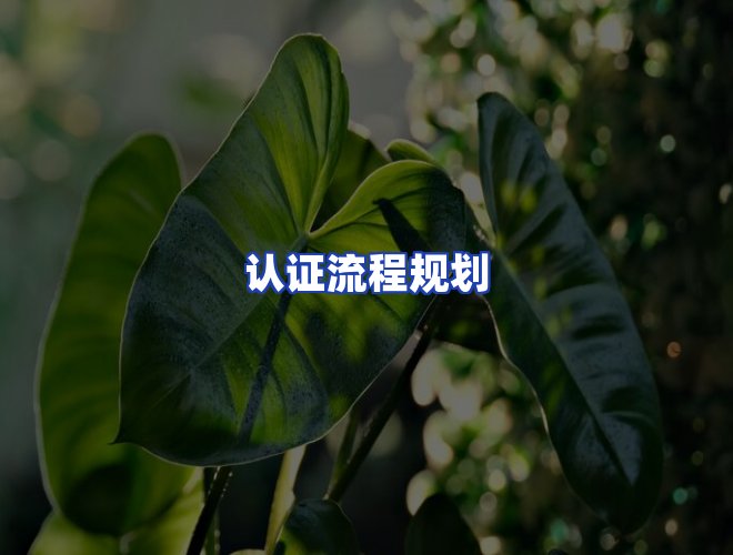 专业团队